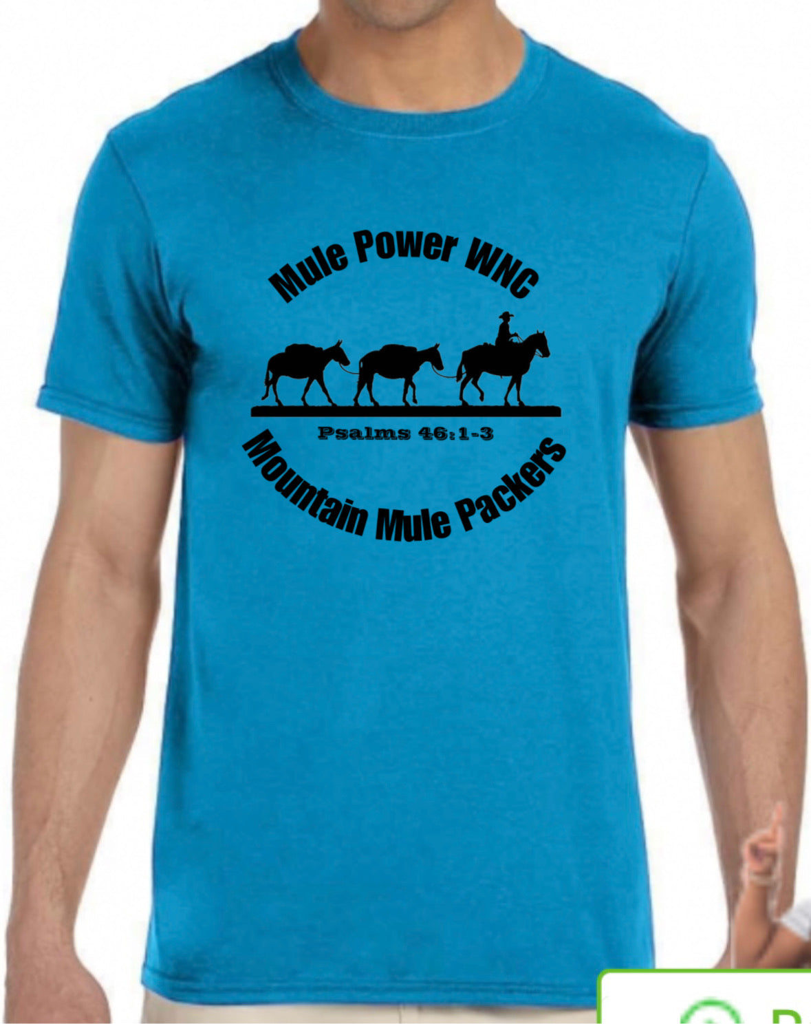 Western NC-Mountain Mule Packers